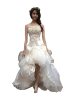 Wedding Dress Photos - Free PNG