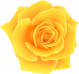 Yellow Rose Png Clip Art Image Adesivos De Unhas White Transparent Background