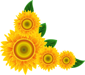 Free Sunflower Border Png Download - Sunflower Corner Png