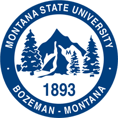 Montana State University - Montana State University Png