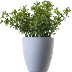 Download Plant Png Image For Free - Plant In Pot Png