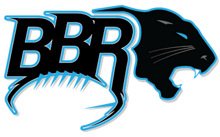 Panthers Carolina Free HD Image - Free PNG