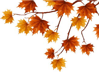 Free Animated Autumn Leaves Clipart - Transparent Autumn Leaf Gif Png