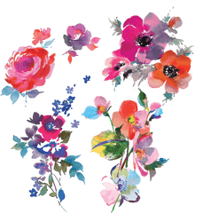 Floral Watercolor Png Image - Watercolor Florals