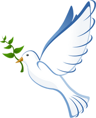 Peace Dove Transparent Png - Palomas De La Paz