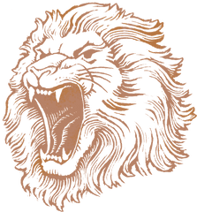 Lion Head Logo Png 3 Image - Lion Face Pics Hd