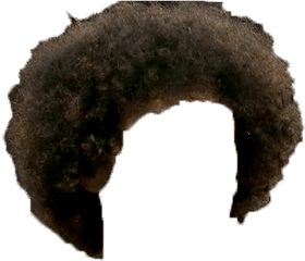 Coupe Afro Png 6 Image - Coupe Afro Png