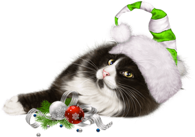 Christmas Kitten HQ Image Free - Free PNG