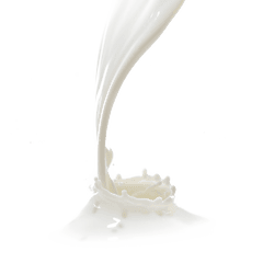 Download Hd Milk Splash Png Picture - Milksplash Png Milksplas Png