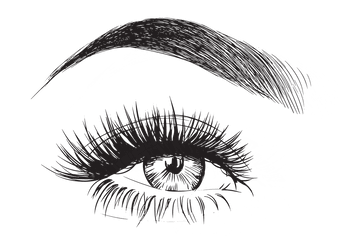 Eyebrow Vector - Eyelashes Drawing Png