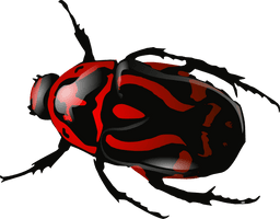 Beetle Free Download Png