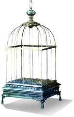 Download Tubes Bird Cage Png Image - Cage Ã€ Oiseaux Png