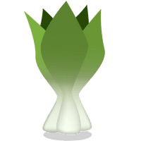 Bok Choy Image - Free PNG