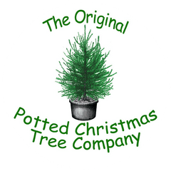 Christmas Greenery Png - Flowerpot