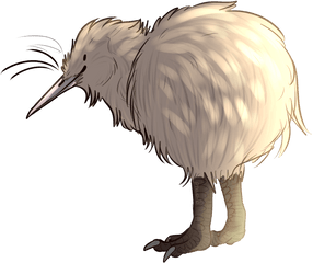 7 Curious Facts That Prove Kiwis Are - Transparent Kiwi Bird Png