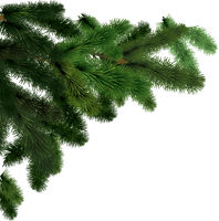 Fir-Tree - Free PNG