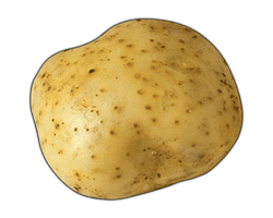 Potato Transparent Image - Free PNG
