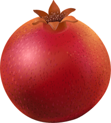 Pomegranate Transparent Png Clipart