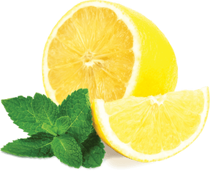 Mint Png Pictures Free Download Leaves Pepermint - Lemon Mint