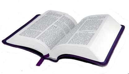 Cropped - Transparent Background Bible Png