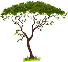 Savanna Silhouette Clip Art - Green Tree Png Download 600 Transparent Background Tree Clipart