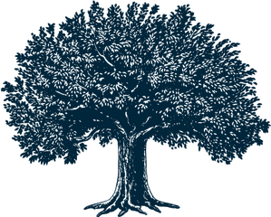 Download Tree Illustration - Illustrations Art Png