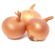 Onion Png Picture