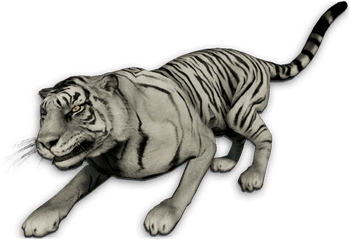 White Tiger - Far Cry 3 White Tiger Png