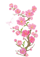 Spring Free Download Png