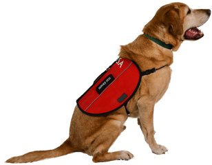 Dog Harness Leash Emotional Support - Service Dog Png