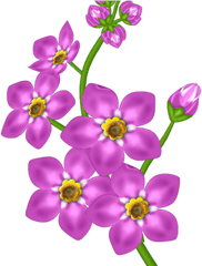 Download Forget Me Not Clipart Flower Head - Bunch Of Yellow Purple Png Transparent Flowers