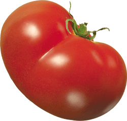 Download Red Tomatoes Png Image For Free - Food