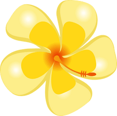 Hibiscus Tropical Flower - Tropical Flower Yellow Png