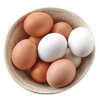 Bowl Egg HD Image Free - Free PNG