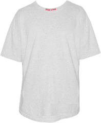 Truth Shall Set You Free White T - Gildan Ash Grey Shirt Png