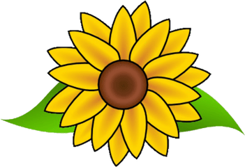 Cropped - Easy Drawing Of A Sunflower Png