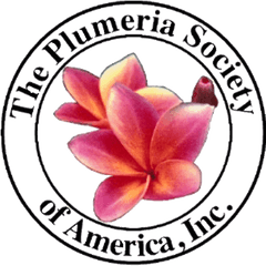 The Plumeria Society Of America Inc - Plumeria Png