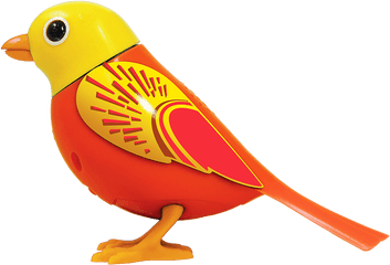 Index Of Digibirdsp02resourceswebsitecommonimages - Robin Png