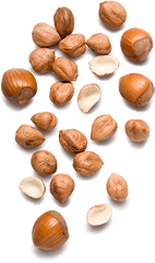 Hazelnuts - Hazelnut Top Png