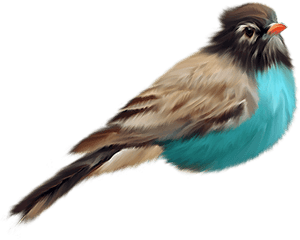 Bird Png - Birds