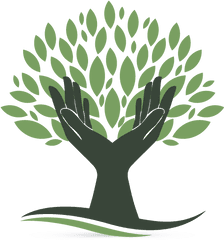 Design A Logo Free With The Hands Holding Tree Template - Hand And Tree Logo Png