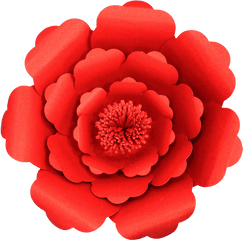 Paper Flower Red Three Stack - Common Zinnia Png