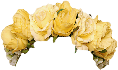 Flower Crown Png Tumblr - Yellow Flower Crown Png