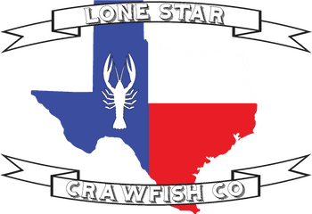 State Of Texas Icon Clipart - Texas Army National Guard Logo Png