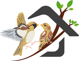 Nest Clipart Sparrow - Save Sparrow Png