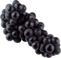 Black Grape Png Image