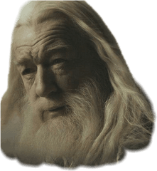 The Newest Dumbledore Stickers - Human Png