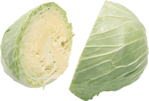 Cabbage Png Image