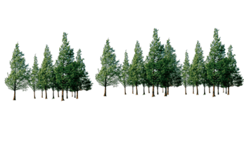 Pic Tree Forest Free Transparent Image HQ - Free PNG