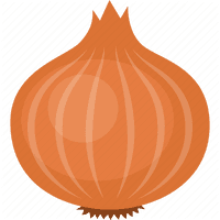 Brown Vector Onion Free Transparent Image HQ - Free PNG